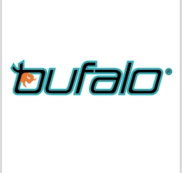 Bufalo